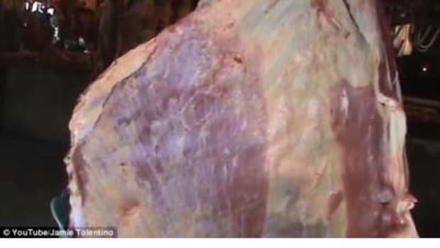 Man Notices Something Odd About Hanging Raw Meat, Takes Out His Phone And Starts Recording (Video) Promo Image