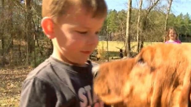 Hunting Dog Finds Missing 3-Year-Old Boy Promo Image