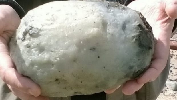 Couple Finds Whale Vomit Worth Hundreds Of Thousands Promo Image