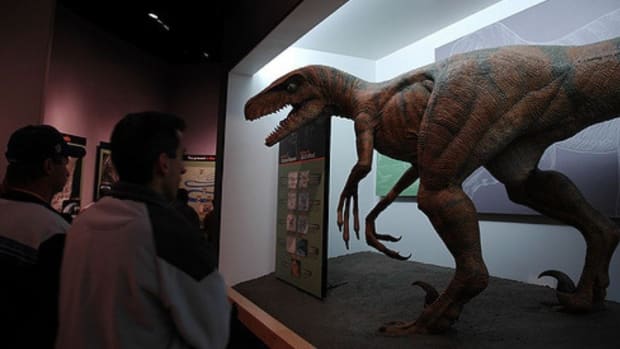 Atheist Group Wants Creation Museum Field Trips Nixed Promo Image