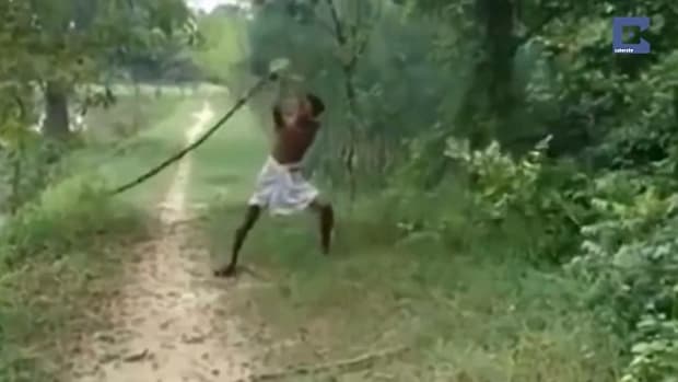 man beating snake to death