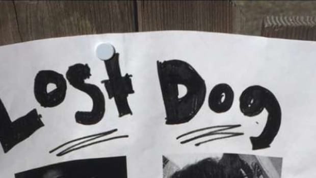 Woman Gets Ultimate Revenge Using "Lost Dog" Poster Promo Image