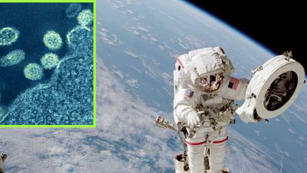 Being-in-Space-Virus