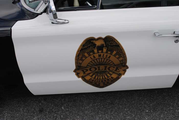 Image placeholder title