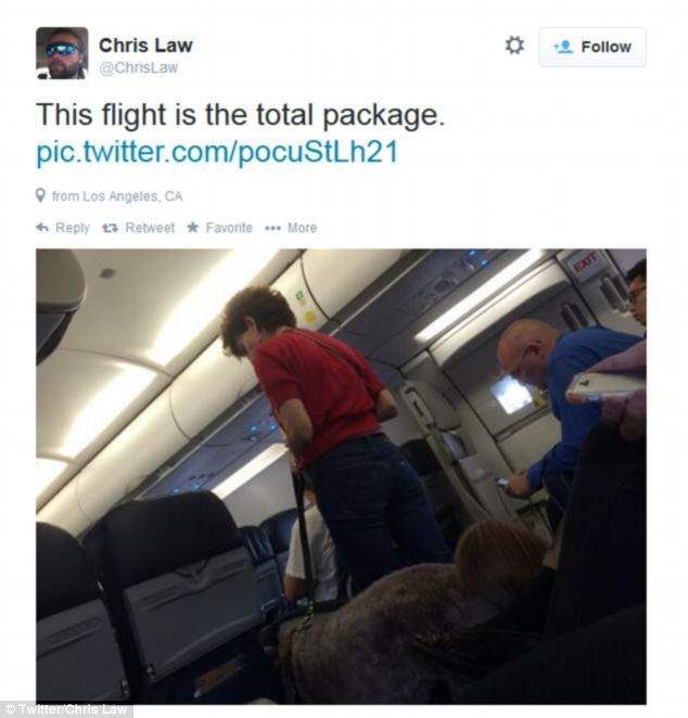 Dog Poop On Plane Forces Emergency Landing Of US Airways Flight Opposing Views