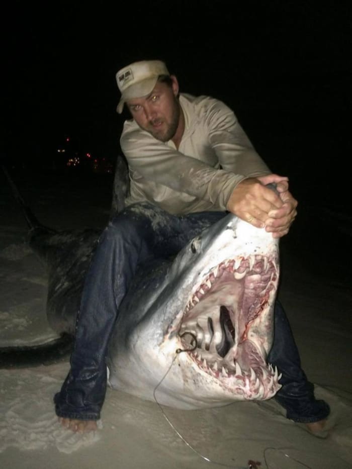 Mako Shark Caught Off Florida Panhandle Sets Record (Photos) Opposing