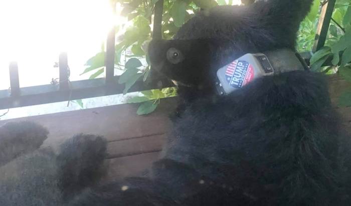 Photo Credit: WSPA 7News