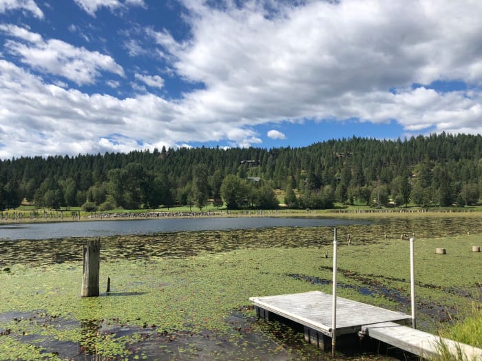 Photo Credit: Twitter/Vanessa Perez - NBC Montana