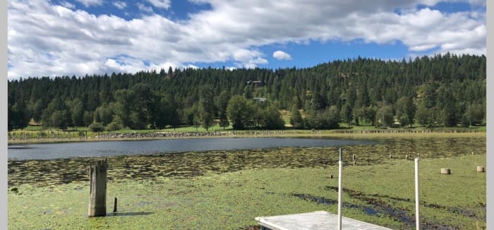 Photo Credit: Twitter/Vanessa Perez - NBC Montana