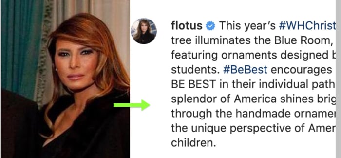 Photo Credit: Google, Instagram/Flotus