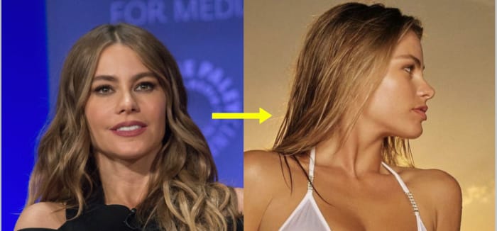Photo Credit: Google, Instagram/Sofia Vergara