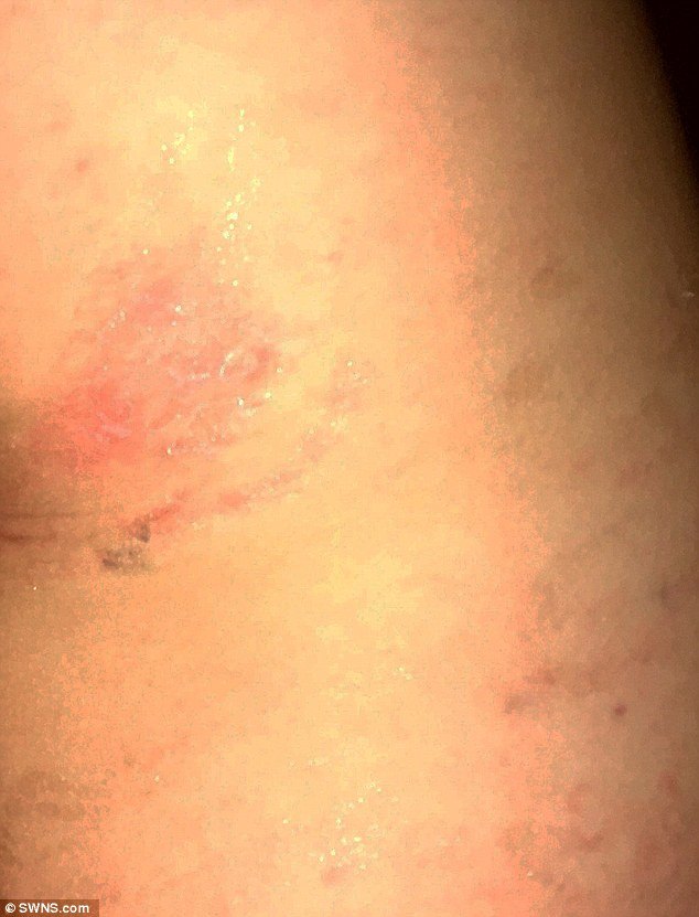 Photo credit: Daily Mail, Historyadororig/Wikimedia Commons