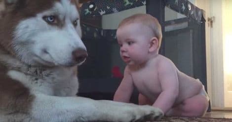 Photo Credit: Screenshot/YouTube via Animal Channel