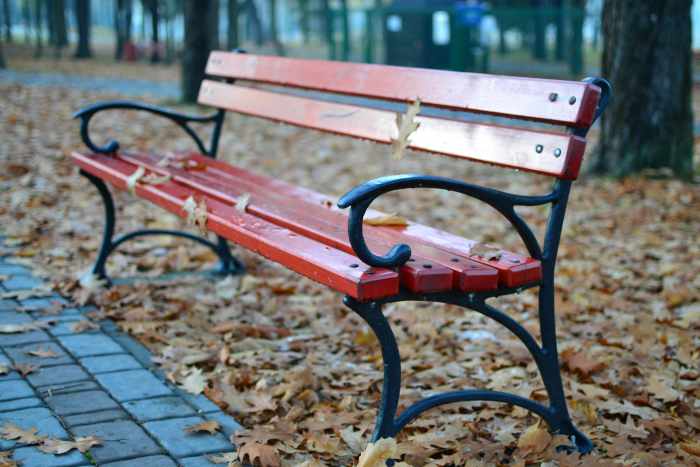 Black and Red Park Bench Near Grey Concrete Pathway, Photo Credit: Pexels