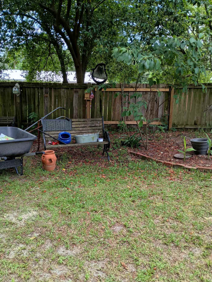 A black cat hiding in a yard, Photo Credit: Reddit