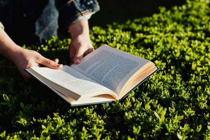 A person's hands holding a book at the park on sunny day, Photo Credit: Pexels