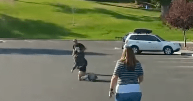 Photo Credit: Screenshot via Discover Life/YouTube