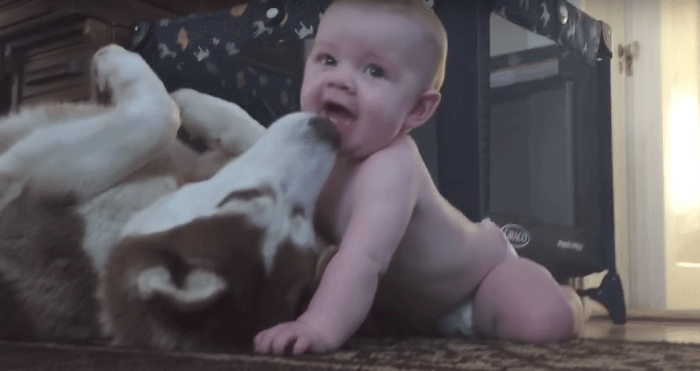 Photo Credit: Screenshot/YouTube via Animal Channel