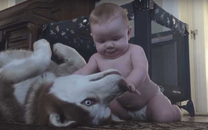 Photo Credit: Screenshot/YouTube via Animal Channel
