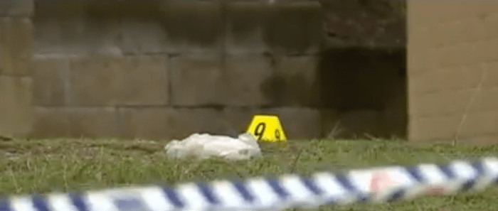 Photo Credit: Facebook/7NEWS Sydney