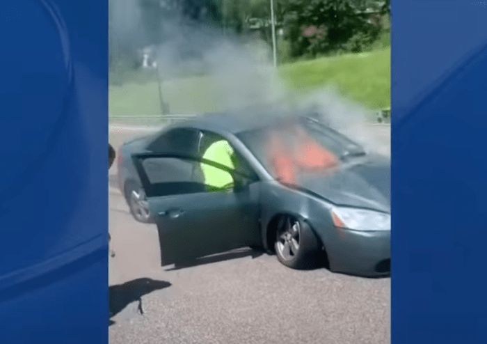 Photo Credit: KMOV St. Louis