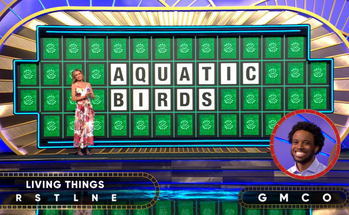 Show hostess Vanna White in a 'Wheel of Fortune' episode, Photo Credit: Wheel of Fortune/Youtube