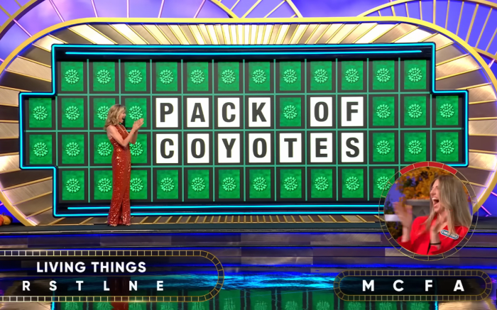 Show hostess Vanna White in a 'Wheel of Fortune' episode, Photo Credit: Wheel of Fortune