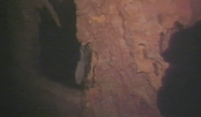 Unseen Titanic shipwreck footage from the bottom of the ocean, Photo Credit: IFLScience/Youtube