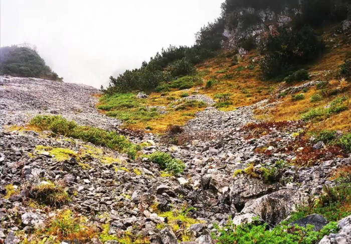 A natural landscape (for illustrative purposes), Photo Credit: Лена Ловкая/Youtube