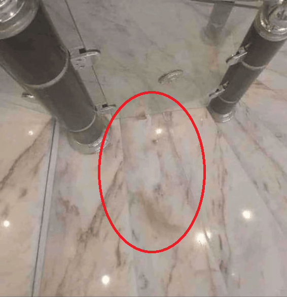 An optical illusion of a hidden cat, Photo Credit: Reddit