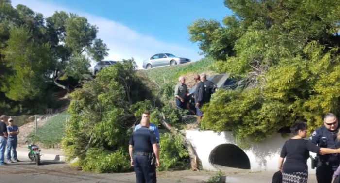 Harrison Ford talking to police officer beside a crashed vehicle, Photo Credit: 7Life/Facebook