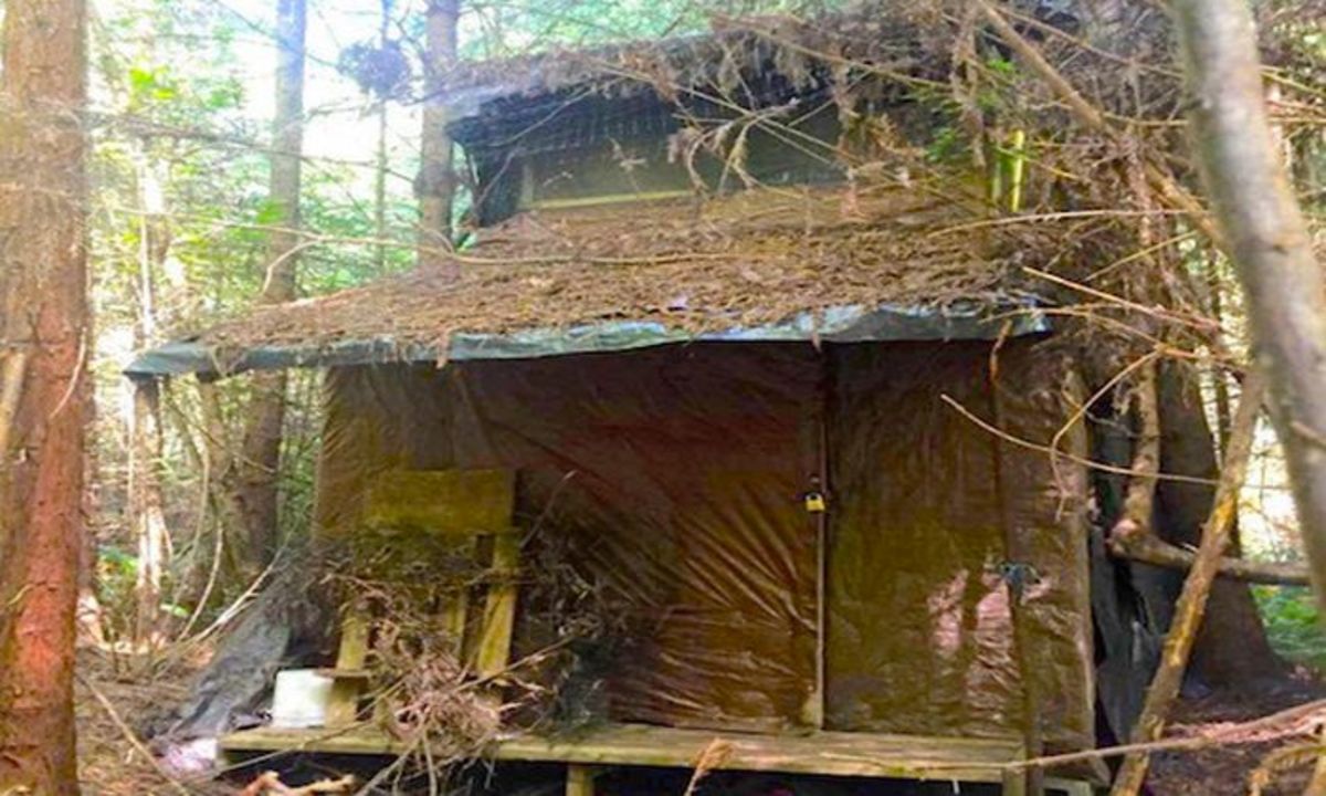 Forest Ranger Finds Mysterious Cabin In Woods Photos Opposing