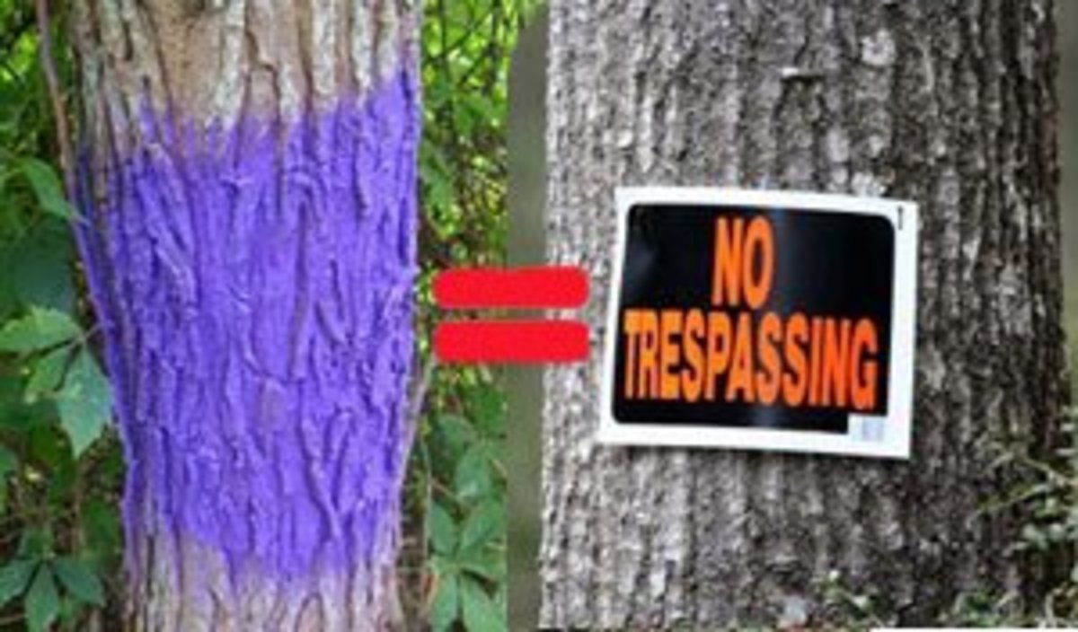 Here's Why People Paint Is Used On Trees And Fence Posts In Texas