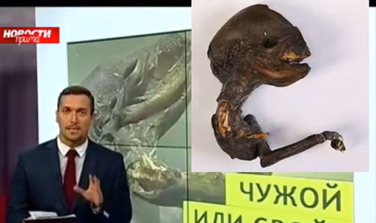 Russian Scientists Baffled By 'Alien' Corpse Opposing Views