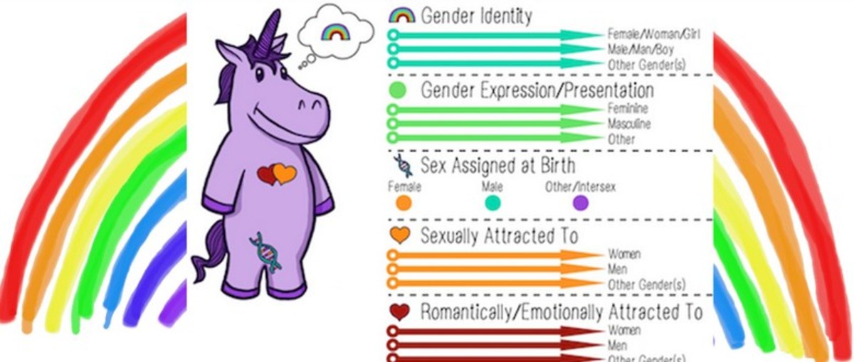 N.C. School District's 'Gender Unicorn' Sparks Outrage - Opposing Views