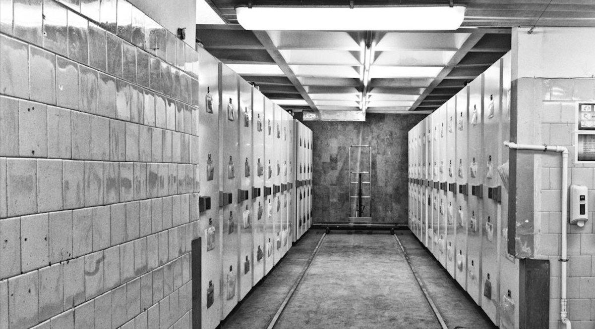 Terrifying Clip Shows Morgue Doors Slamming Shut Video
