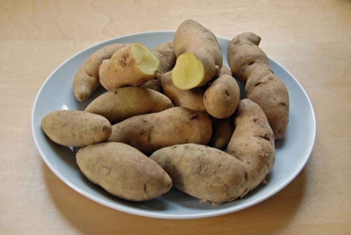 Family's Fate Highlights Danger Of Rotten Potatoes Opposing Views