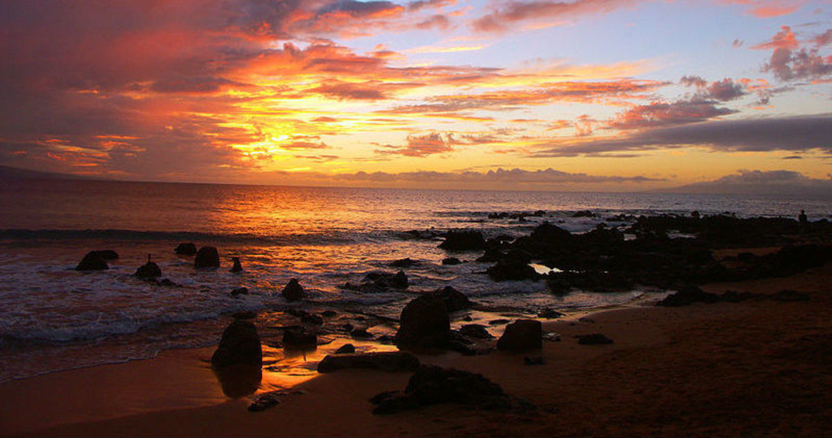 Hawaiian Travel Ban Hawaiian Travel Ban
