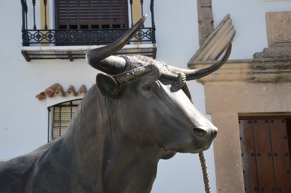 pelislatino3gp.net. bull pelislatino3gp.net. bull
