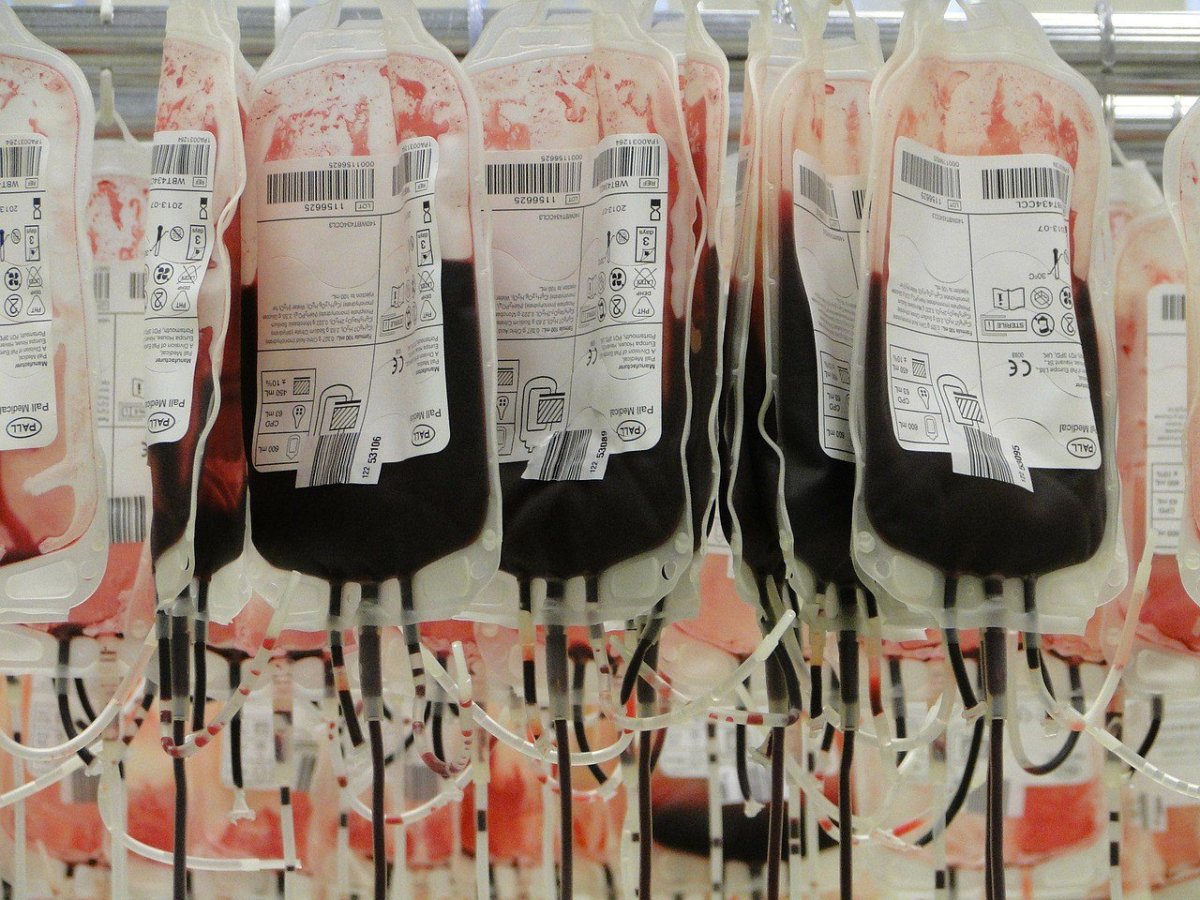 Las Vegas Residents Donate Blood For Shooting Victims (Photos) Promo Image