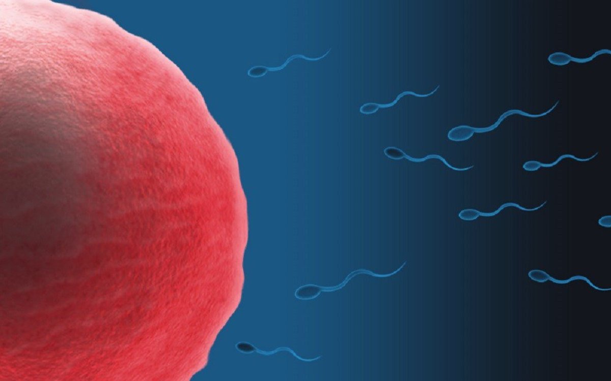Fertility Doctor Who Used His Own Sperm Avoids Jail Promo Image