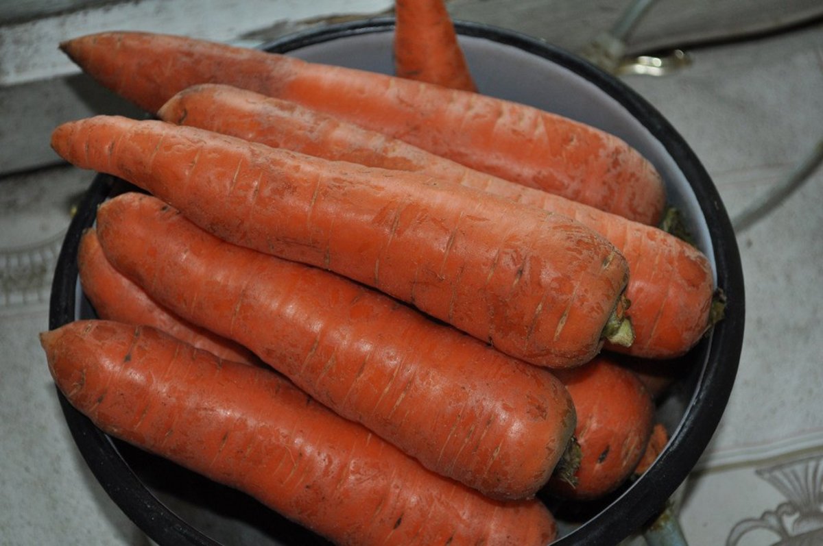 Woman Finds Lost Ring On Carrot (Photos) Promo Image