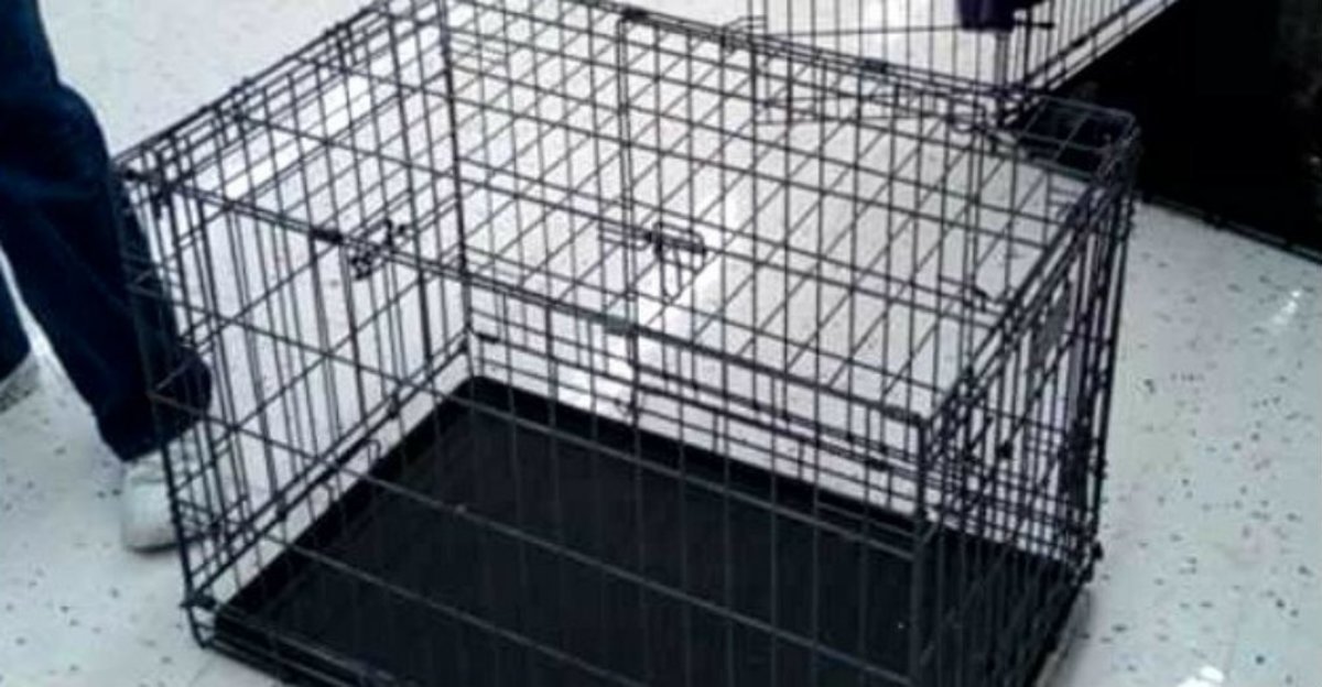 Mom Reportedly Kept Insect-Ridden Filthy Kids In Cages (Photos) Promo Image