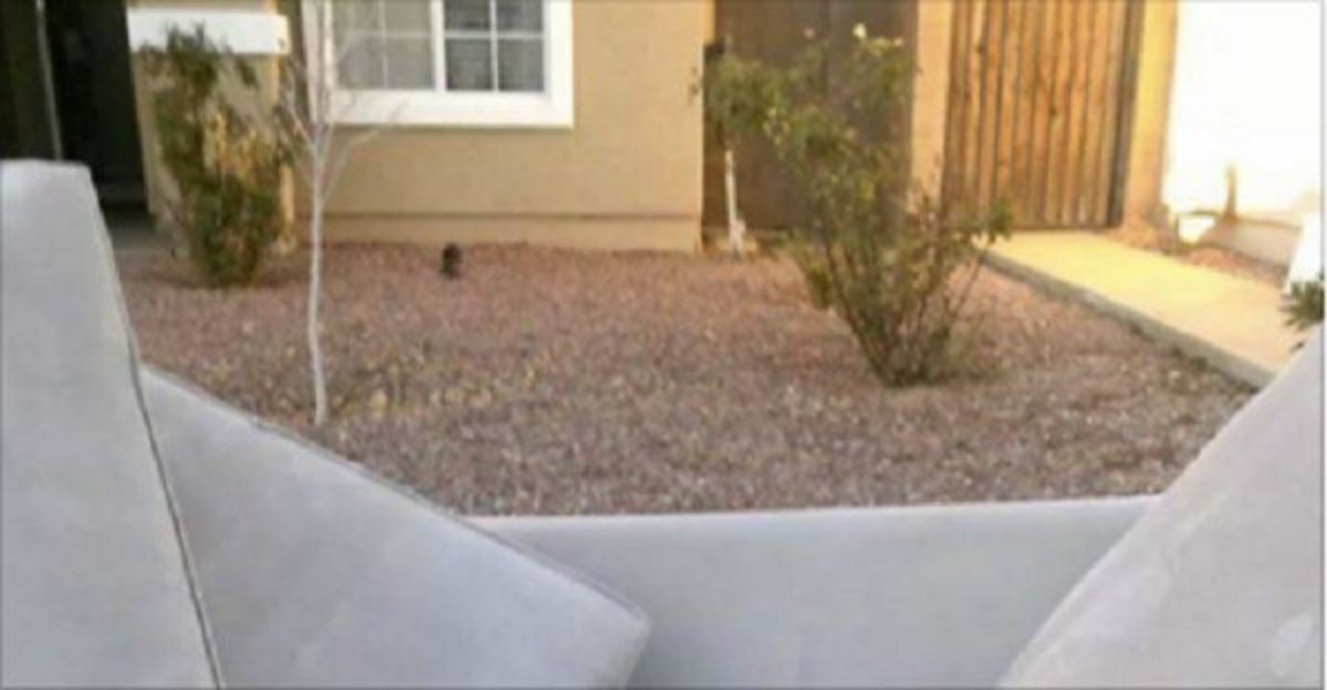 Neighbors Make Upsetting Discovery On Abandoned Couch After Family Moves Out (Photo) Promo Image