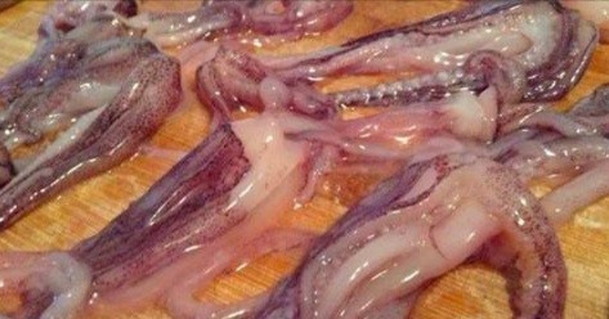Woman's Mouth Gets Impregnated By Squid Promo Image