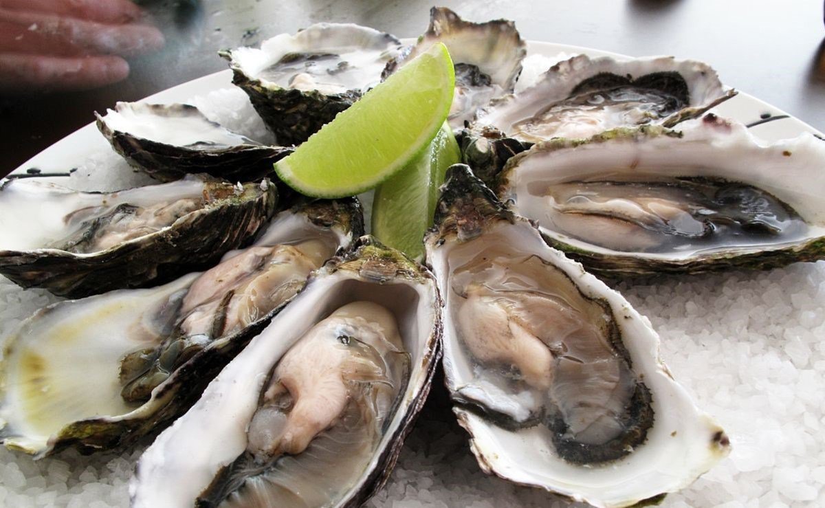 Woman Dies Of Vibrio From Louisiana Oysters And Water Promo Image