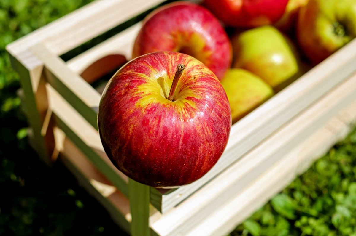 ALDI Recalls Apples Over Listeria Threat Promo Image