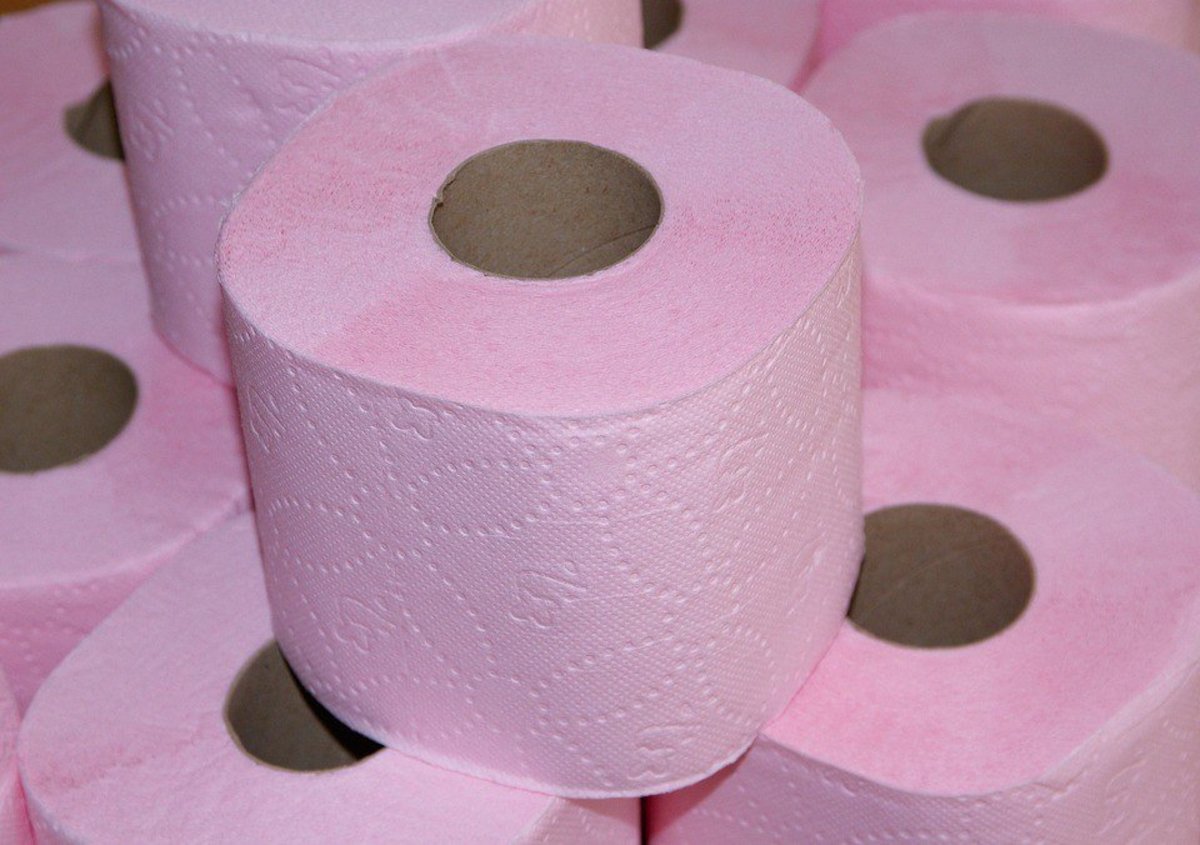 Charmin Gives 6,000 Rolls Of Toilet Paper To School (Photos) Promo Image