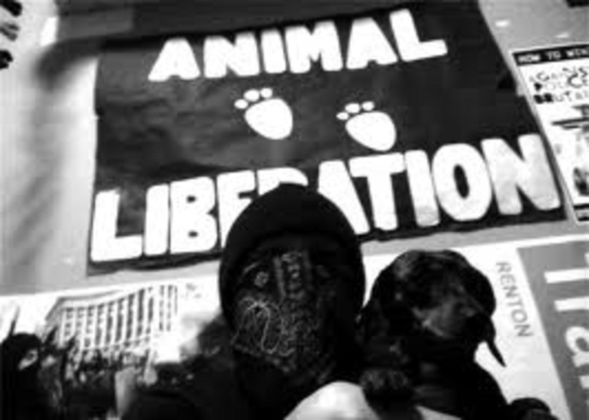 Animal Liberation Front Targets San Diego, Calif., Fur Shop, Owner’s