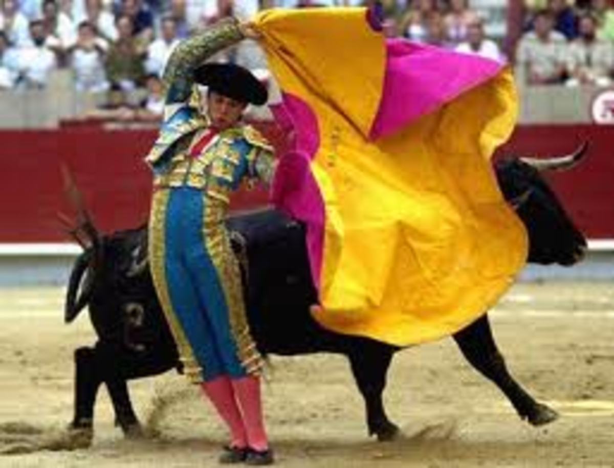 bullfighting in the sun also rises Bulls, bullfights, and bullfighters are central to the fiesta of san fermín in pamplona and, consequently, also central to ernest hemingway’s novel the sun also rises. bullfighting in the sun also rises Bulls, bullfights, and bullfighters are central to the fiesta of san fermín in pamplona and, consequently, also central to ernest hemingway’s novel the sun also rises.